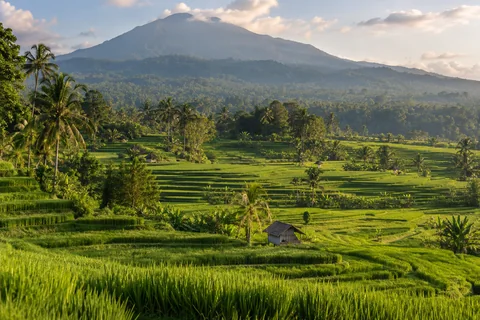 Bali